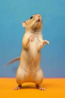 muy linda rata en naturaleza amplio vida animales ai generado. foto