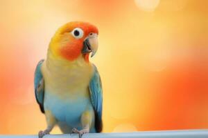 Very cute Lovebird in nature wide life animals. AI Generated. photo