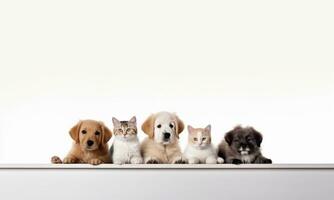 AI Generated Backdrop with pictures of cute pets, puppies and kittens sitting together on a white background. photo