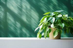 AI generated Green leaves, philodendron plant and monstera plant in pot minimalist modern backdrop photo