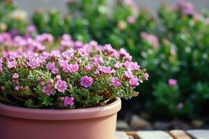 AI generated a small pink flower in a pot on a wooden table photo