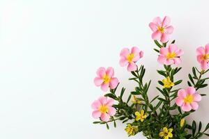 AI generated Flowers and bouquet of small yellow, orange, pink flowers on a white background in a minimalist style. photo