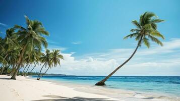 Beautiful tropical palm beach with palm trees, white sand and turquoise ocean. Perfect paradise landscape background for relaxing vacation photo