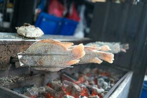 Preparing roasted fish on rotating needles photo