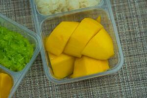 tailandés famoso delicioso postre. dulce Fresco maduro mango con pegajoso arroz. foto