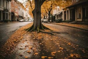 antiguo árbol con roto ramas en otoño en un calle con algunos agua en el suelo foto