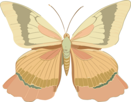 bunt Schmetterling ai generativ png