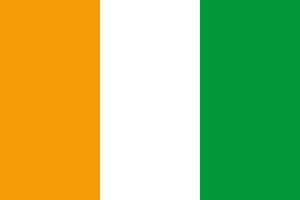 Ivory Coast national flag icon. vector