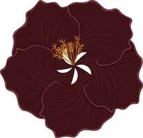 Isolated dark purple flower vector illustration