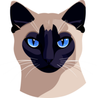 siamés gato ai generativo png