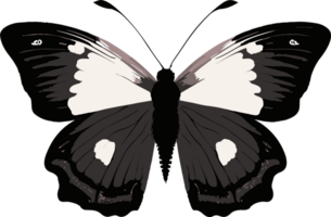 coloré papillon ai génératif png