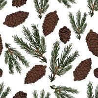 Pine cone seamless hand drawn pattern vector