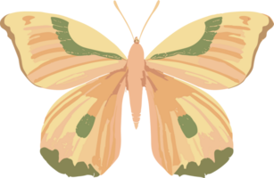 colorful butterfly ai generative png