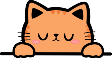 orange cat sleeping illustration png