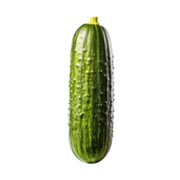 One cucumber isolated on transparent background, created with generative AI png