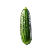 One cucumber isolated on transparent background, created with generative AI png