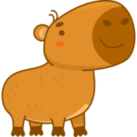 cute cartoon  capybara png