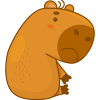 Sad unhappy capybara png