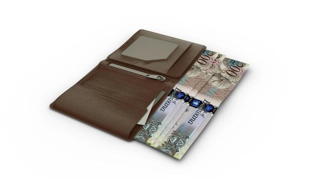 3D rendering of Botswanan Pula notes in wallet photo