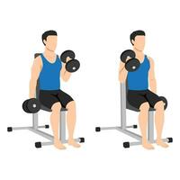 Man doing seated dumbbell bicep hammer curls exercise. vector