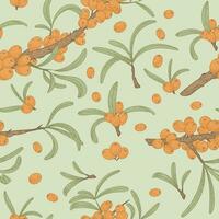 Sea buckthorn branch with leaves and berries. Natural green plant, vector seamless pattern, flat style.