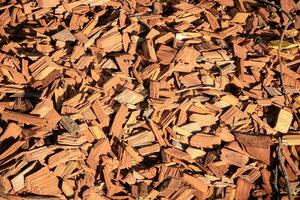 Brown pieces of wood in sunlight textured backdrop photo