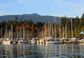 Boats and yacht in Vancouver, British Columbia, Canada photo