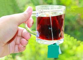 A full cup of hot tea in a man's hand outdoors. Man holding hot tea with a tea bag photo