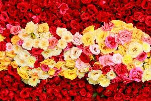 Rose background, Flowers wall background, Wedding decoration, photo