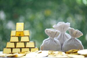 Coins money in the bag and gold bar on natural green background,Business investment and Saving money for prepare in future concept photo