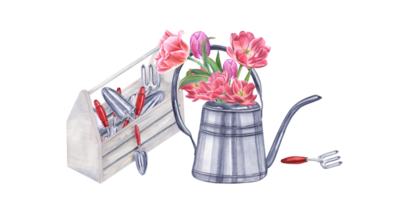 Watercolor garden tools in wooden box. Bouquet of pink double tulips in steel watering can. Illustration. Hand trowels, fork, crate, flowers for gardening and flowering png