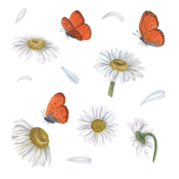 uppsättning av vattenfärg daisy och fjärilar. illustration för tapet, skriva ut, textil, scrapbooking, bröllop inbjudan, baner design, vykort png