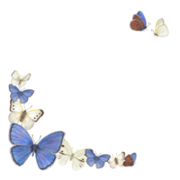 aquarelle fête Cadre avec papillons. illustration contient espace pour votre texte. pour salutation, anniversaire carte conception, invitation modèles. png