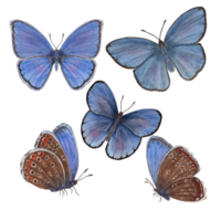 Set of watercolor copper-butterflies. Perfect for wallpaper, print, textile, nursery, scrapbooking, wedding invitation, banner design, postcards, clothing png