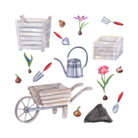 Watercolor garden tools, flower bulbs, pink double tulip, crocus, scilla. Illustration of watering can, wooden pots, wheelbarrow, hand trowels, fork, flowers, soil png