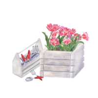 Pink double tulips and garden tools in wooden boxes. Watercolor illustration of spring flowers, hand trowels, small forks for urban gardening and flowering png