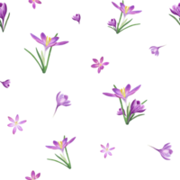 Watercolor seamless pattern of crocuses. Spring illustration for the design of textile, wrapping paper, scrapbooking, greetings, wedding cards png