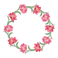 rosa tulipani ghirlanda. acquerello illustrazione di luminosa primavera fiori per creare cartolina disegno, invito modello, compleanno, nozze, madre giorno carte. spazio per testo png