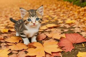 The curious kitten stares, autumn background. AI Generative Pro Photo