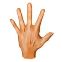 Hand sketch action png