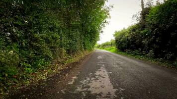 verano la carretera viaje mediante el Inglés campo video