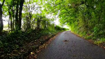 verano la carretera viaje mediante el Inglés campo video