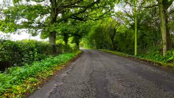 verano la carretera viaje mediante el Inglés campo video