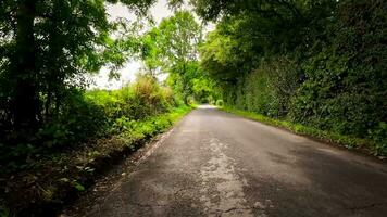 verano la carretera viaje mediante el Inglés campo video