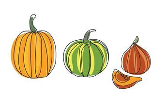 Continuous line drawing pumpkins. Striped pumpkins set. Autumn pumpkin line art set. Minimalist art. vector