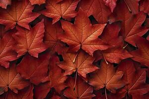 vino rojo otoño hojas textura, otoño naturaleza fondo, ai generativo foto