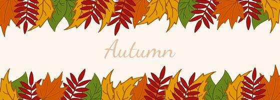 Autumn leaves horizontal banner. Vector illustration leaves of aspen, birch, maple, rowan.