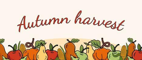 Autumn harvest horizontal banner. Vector fruits, apples, pears, pumpkins, corn. Thanksgiving theme.