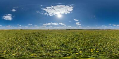 spherical 360 hdri panorama among dandelion flower field with clouds on blue sky with sun in equirectangular seamless projection, use as sky replacement, game development as skybox or VR content photo