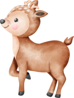 Baby Hirsch Wald Tiere Aquarell png